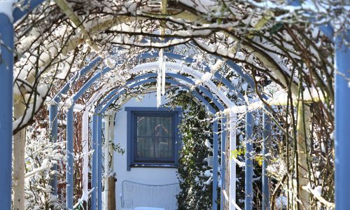 MM_Garten_Winter 3