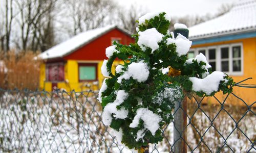MM_Garten_Winter 4