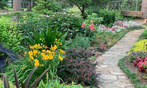 aniston-grace-L3hyEbDk194-unsplash